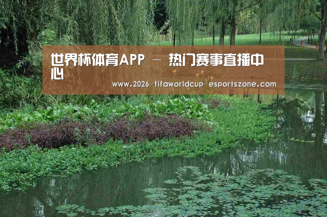 案例展示一(图1)