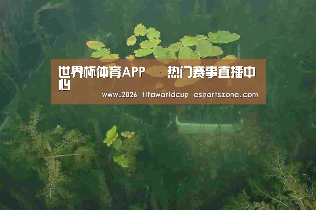 案例展示三(图1)