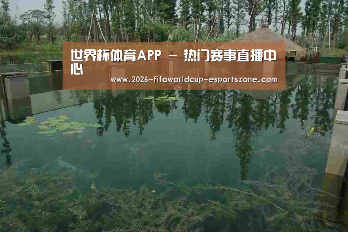 案例展示二(图1)