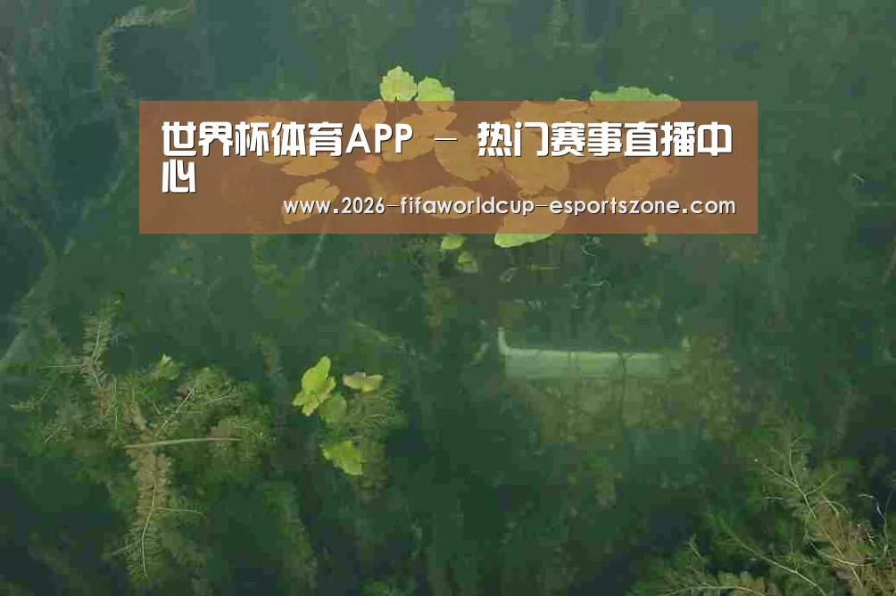 案例展示三