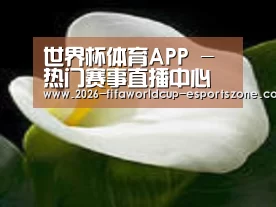 产品名称七