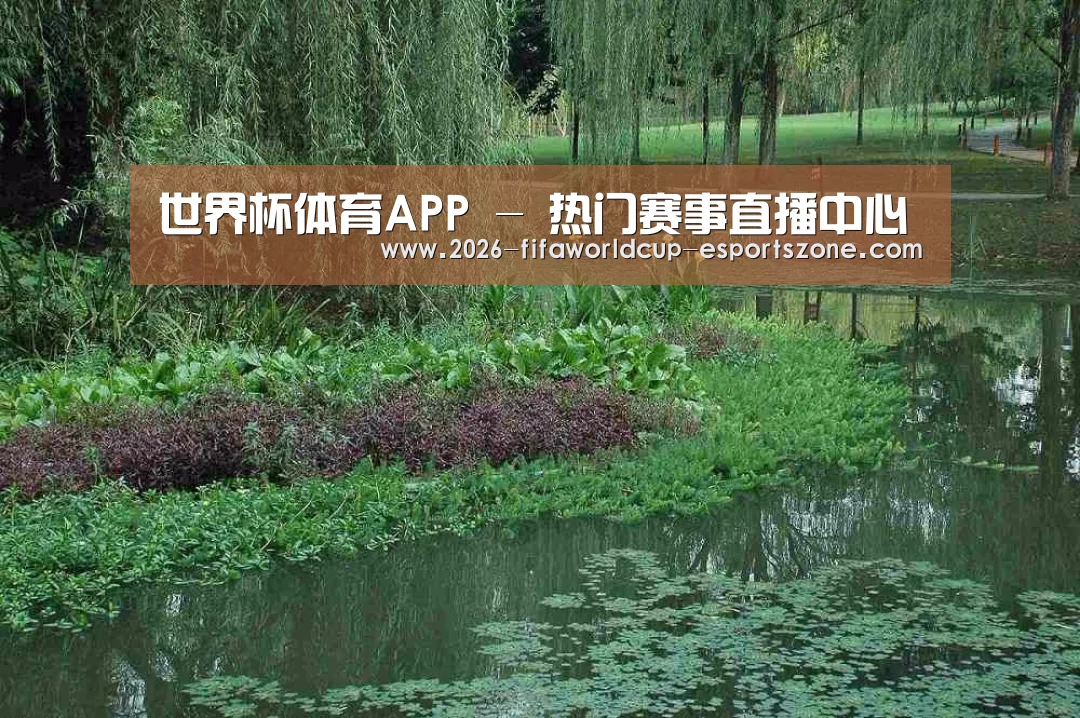 案例展示一