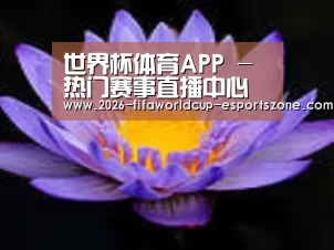 产品名称六
