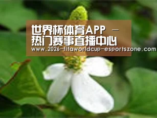 产品名称三