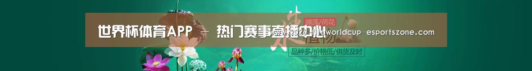 鲜花水草花卉网站模板
