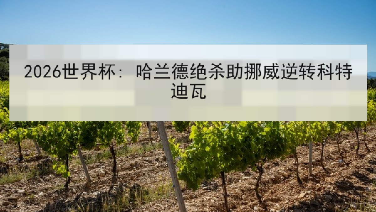 2026世界杯: 哈兰德绝杀助挪威逆转科特迪瓦