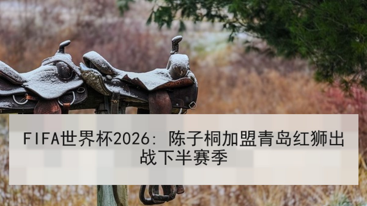 FIFA世界杯2026: 陈子桐加盟青岛红狮出战下半赛季