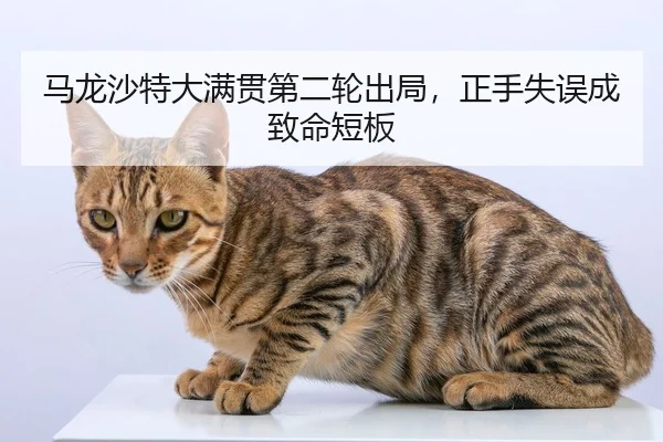 ma-long-sha-te-da-man-guan-di-er-lun-chu-ju-zheng-shou-shi-wu-cheng-zhi-ming-duan-ban-3-544.jpg
