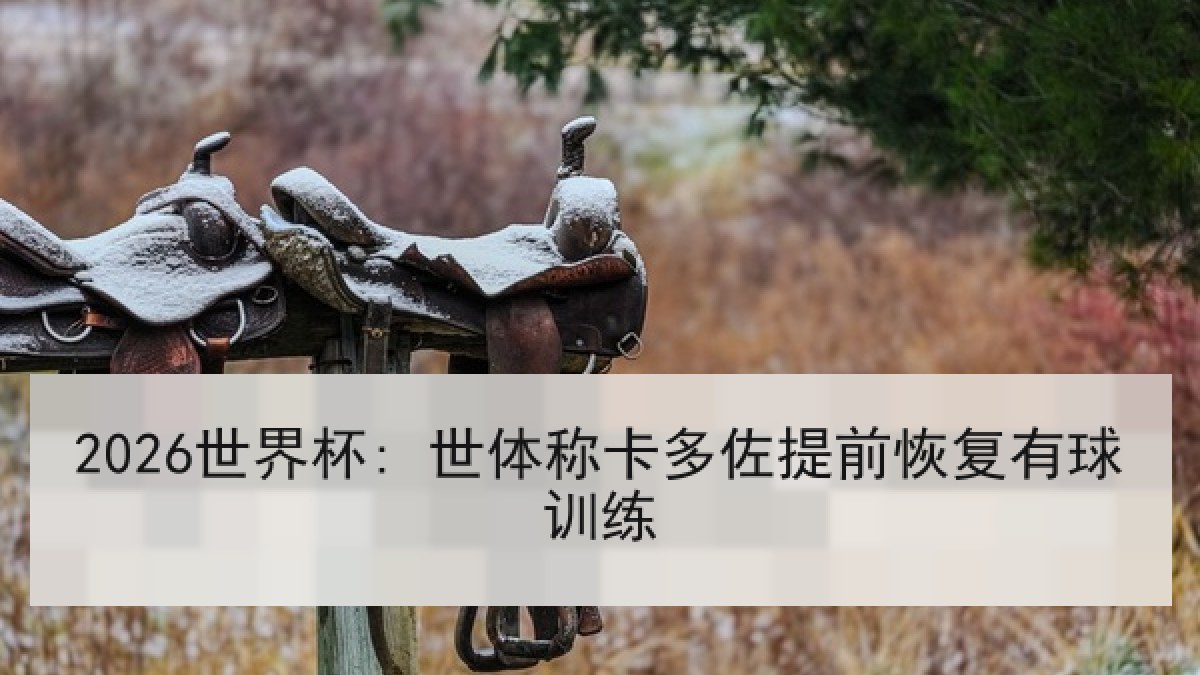 2026世界杯: 世体称卡多佐提前恢复有球训练