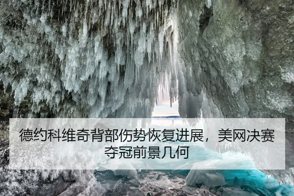 德约科维奇背部伤势恢复进展，美网决赛夺冠前景几何
